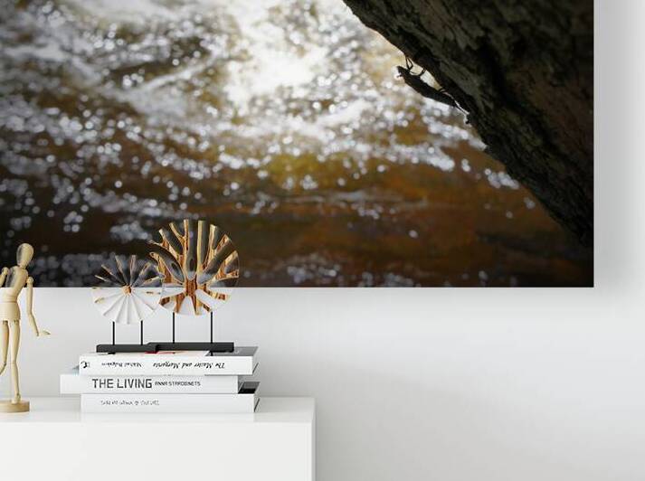 Stonefly Shucks by Earthshine Emporium