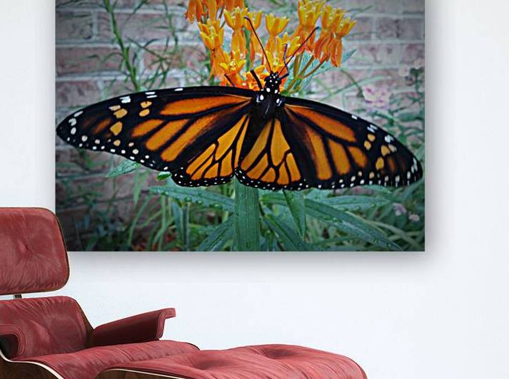 Monarch Female by Earthshine Emporium