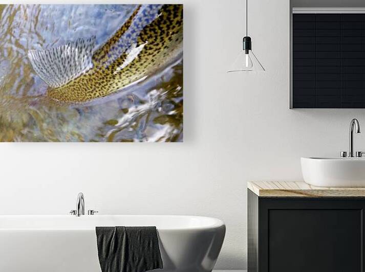 Trout Dorsal Fin by Earthshine Emporium