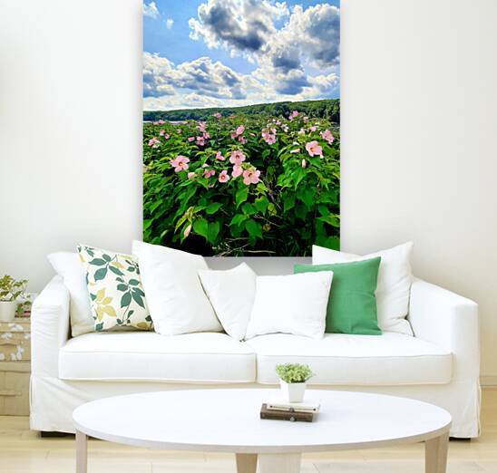 Swamp Mallow At Moraine State Park by Earthshine Emporium