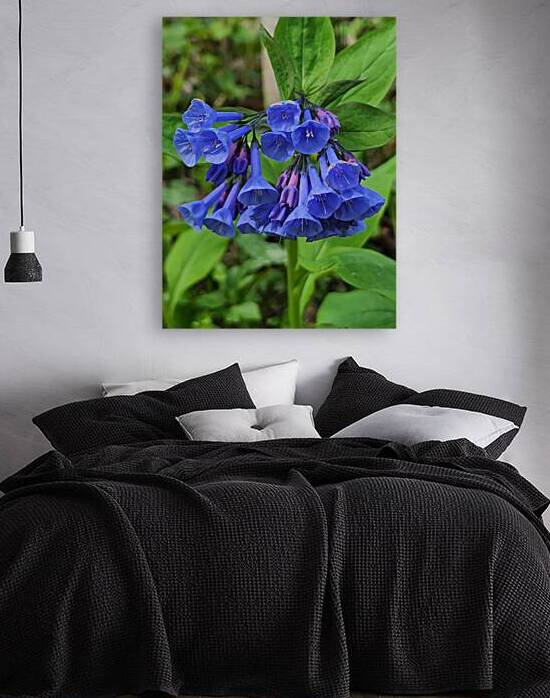 Virginia Bluebells by Earthshine Emporium