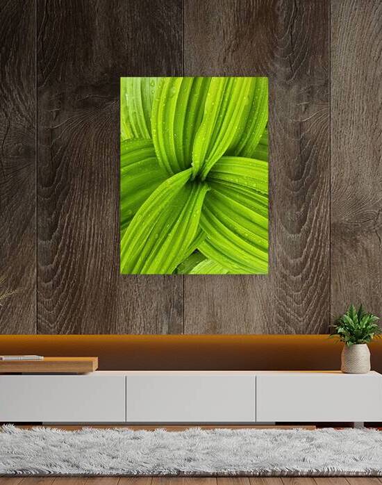 False Hellebore by Earthshine Emporium