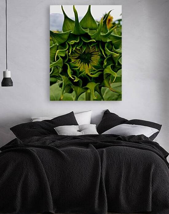 Sunflower Bud by Earthshine Emporium