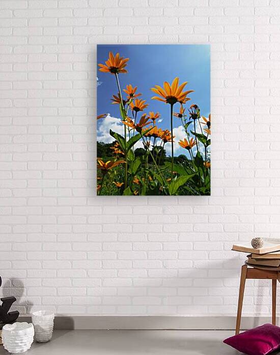 Helianthus by Earthshine Emporium