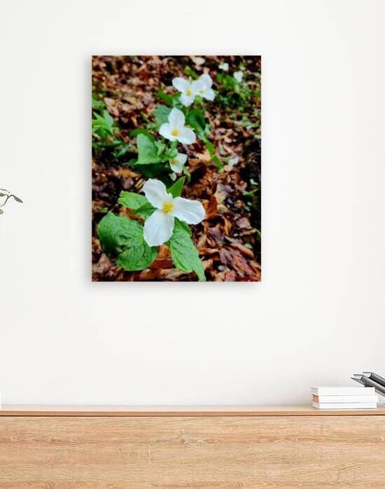 White Trillium Column by Earthshine Emporium