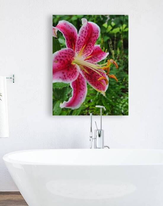 Stargazer Lily by Earthshine Emporium