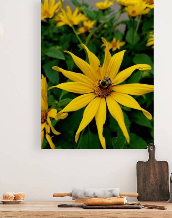 Bumblebee On Helianthus by Earthshine Emporium