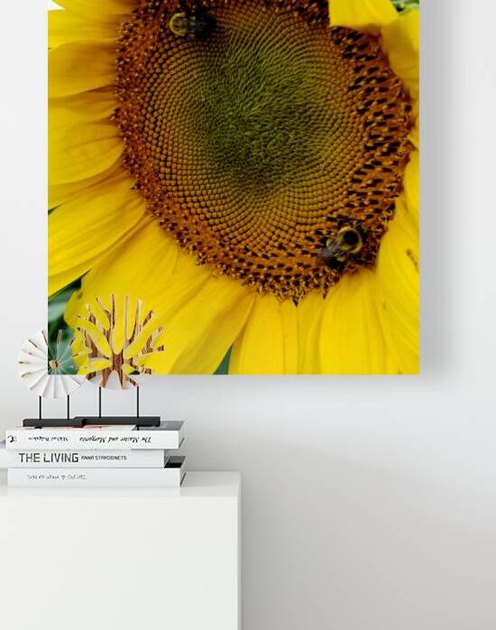 Sunflower Left by Earthshine Emporium