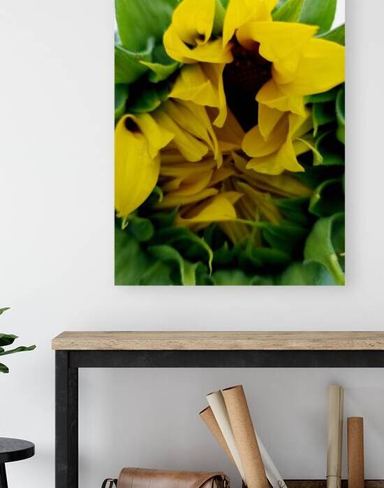 Sunflower Peek by Earthshine Emporium