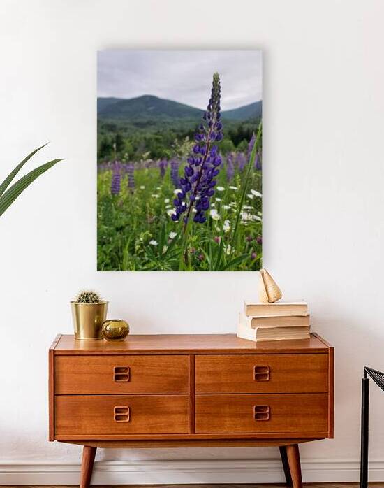 White Mountain Lupines by Earthshine Emporium