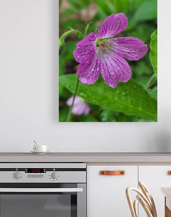 Wild Geranium by Earthshine Emporium