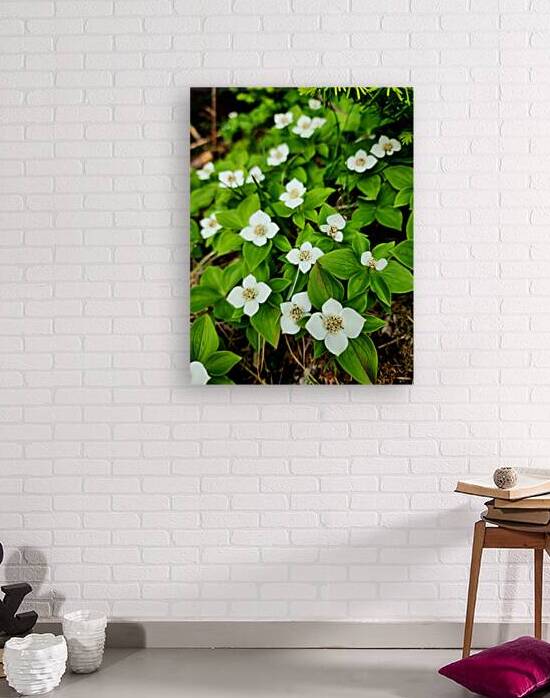 Bunchberry by Earthshine Emporium