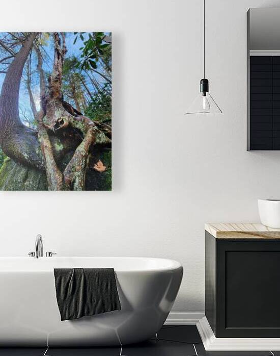 Muppet Tree 1 by Earthshine Emporium