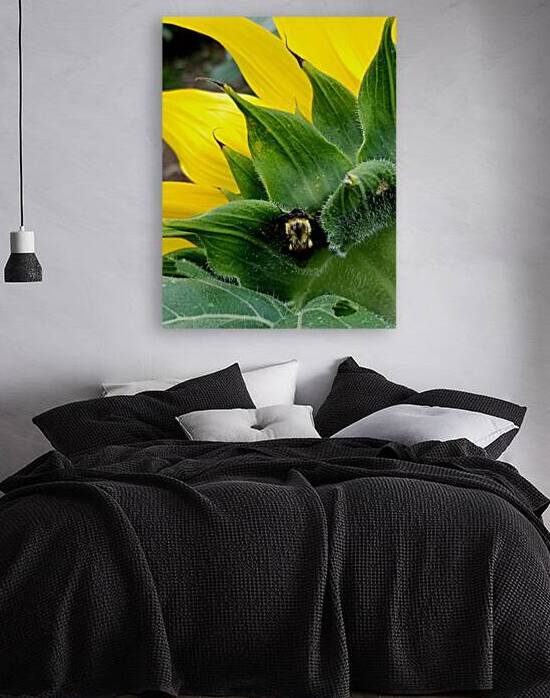 Sunflower Bumblebee by Earthshine Emporium