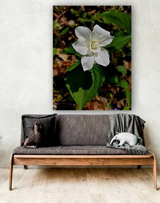 Double White Trillium by Earthshine Emporium