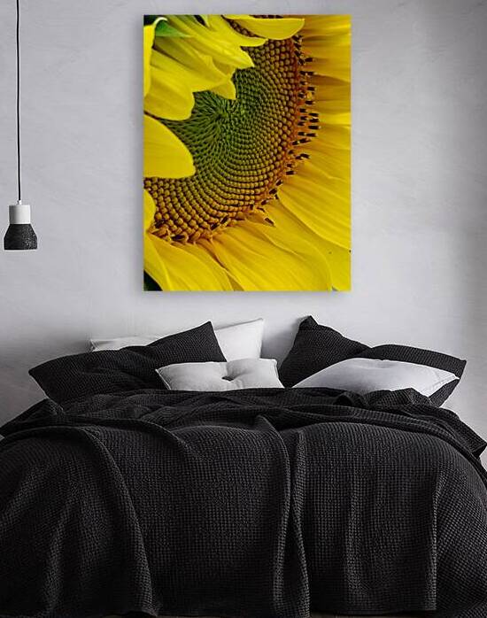 Sunflower Right by Earthshine Emporium