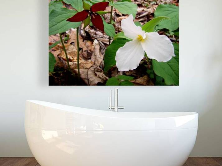 Trillium by Earthshine Emporium