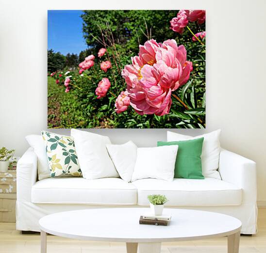 Salmon Peony Row by Earthshine Emporium