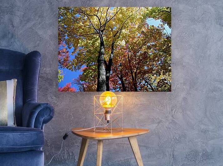 Golden Tree Horizontal by Earthshine Emporium