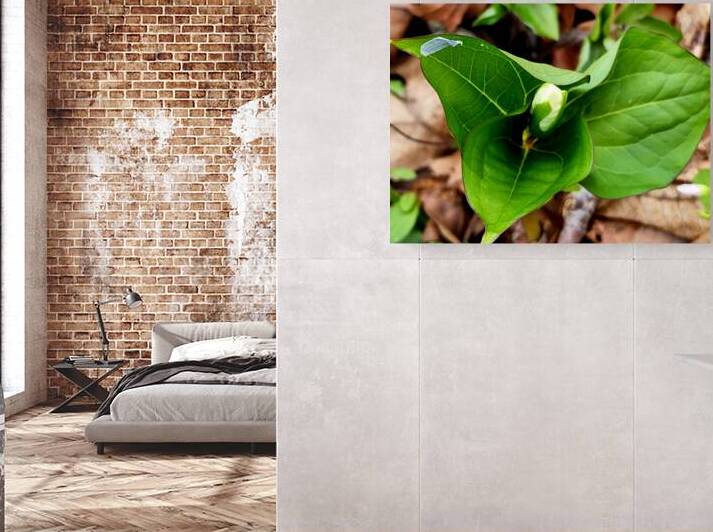 White Trillium Bud 2 by Earthshine Emporium