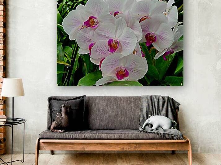 Orchid Cluster by Earthshine Emporium