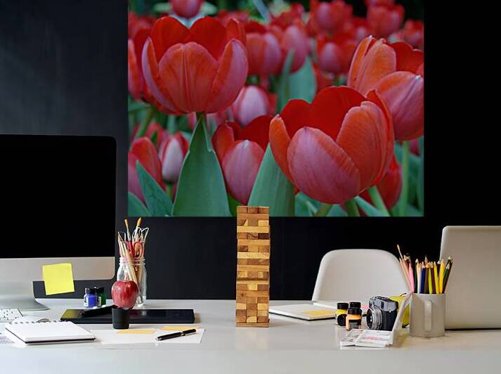 Red Tulips by Earthshine Emporium