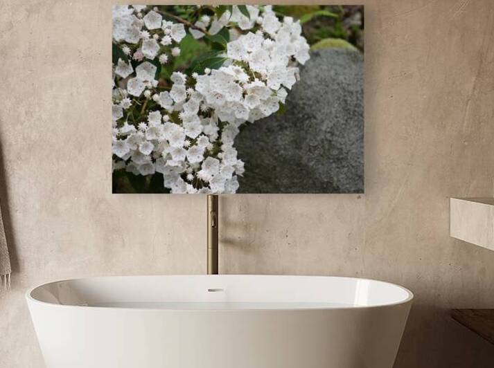 White Mountain Laurel by Earthshine Emporium