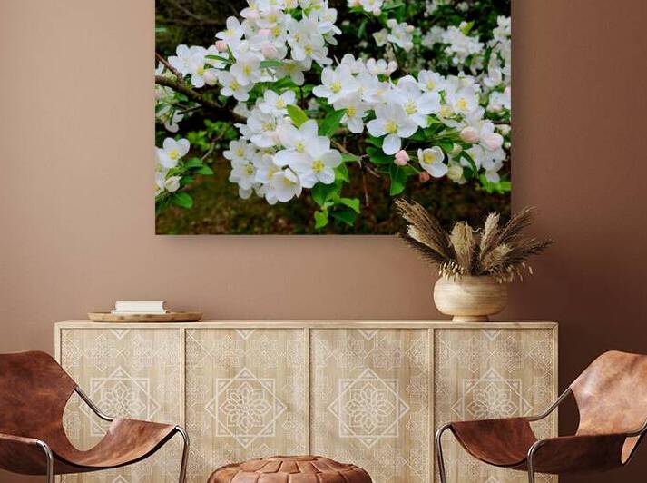 Apple Blossoms by Earthshine Emporium