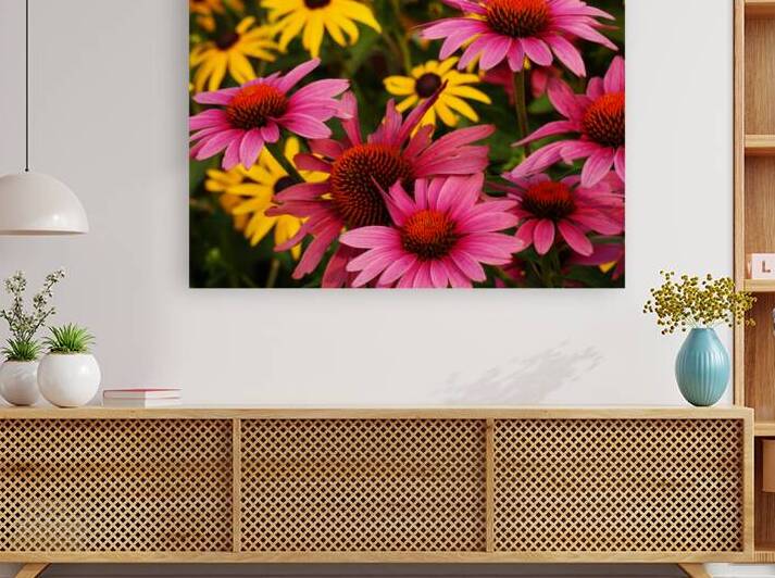 Echinacea And Rudbeckia by Earthshine Emporium