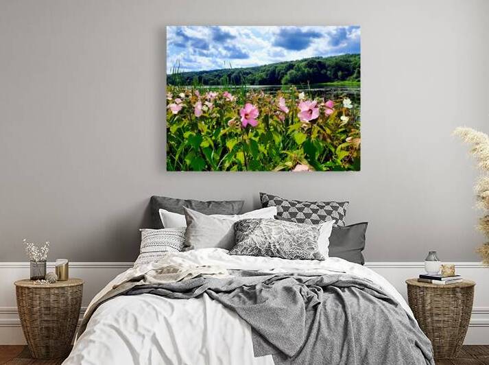 Swamp Mallow At Moraine State Park by Earthshine Emporium