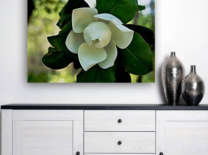 Magnolia Flower by Earthshine Emporium