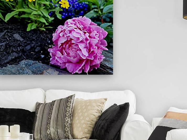 VT Peony 1 by Earthshine Emporium