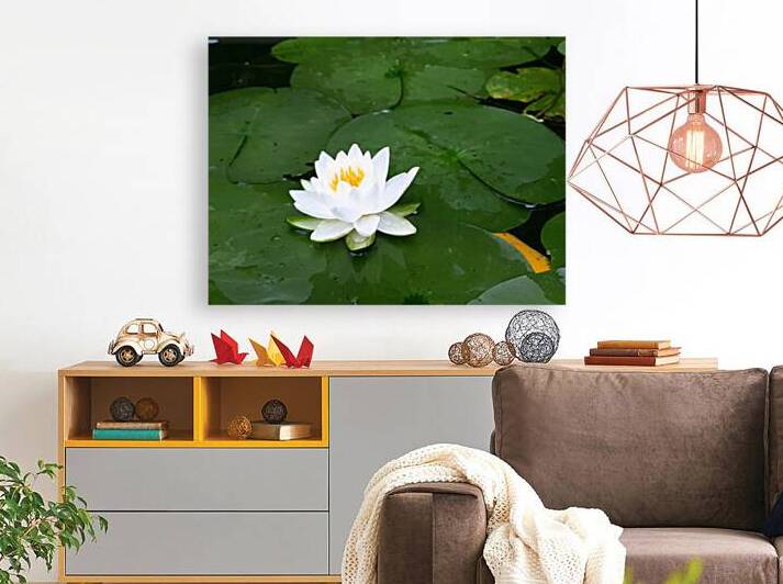 Water Lily 1 by Earthshine Emporium