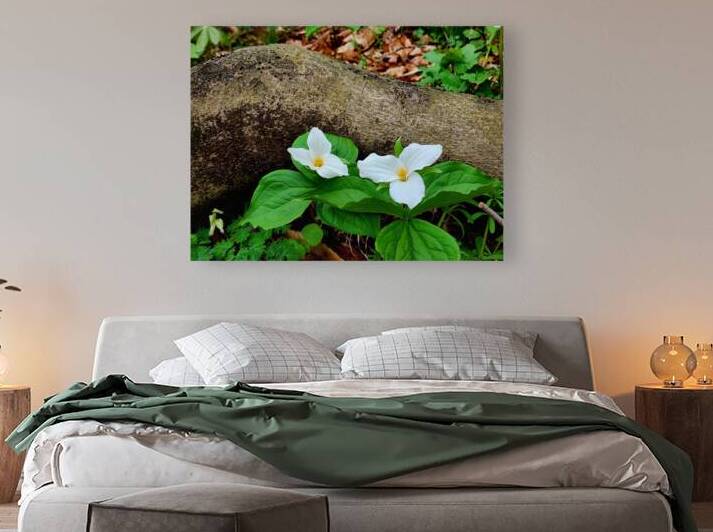 Trillium Duo by Earthshine Emporium