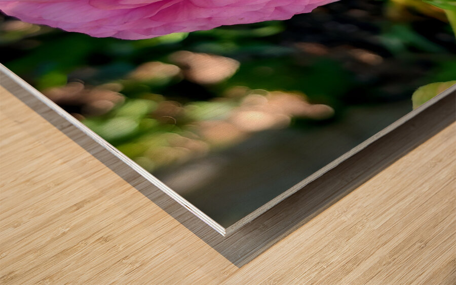 Ranunculus Wood print