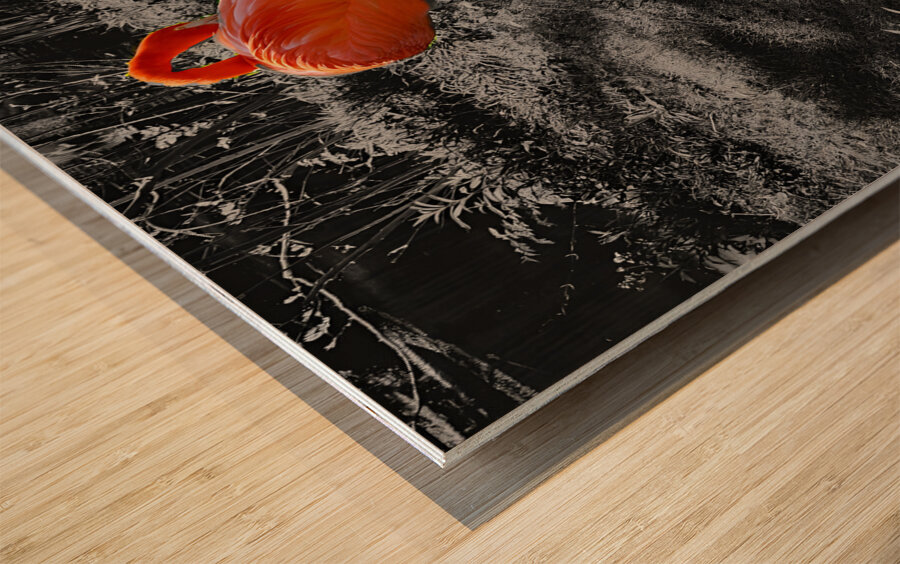 Flamingos Tucked Wood print