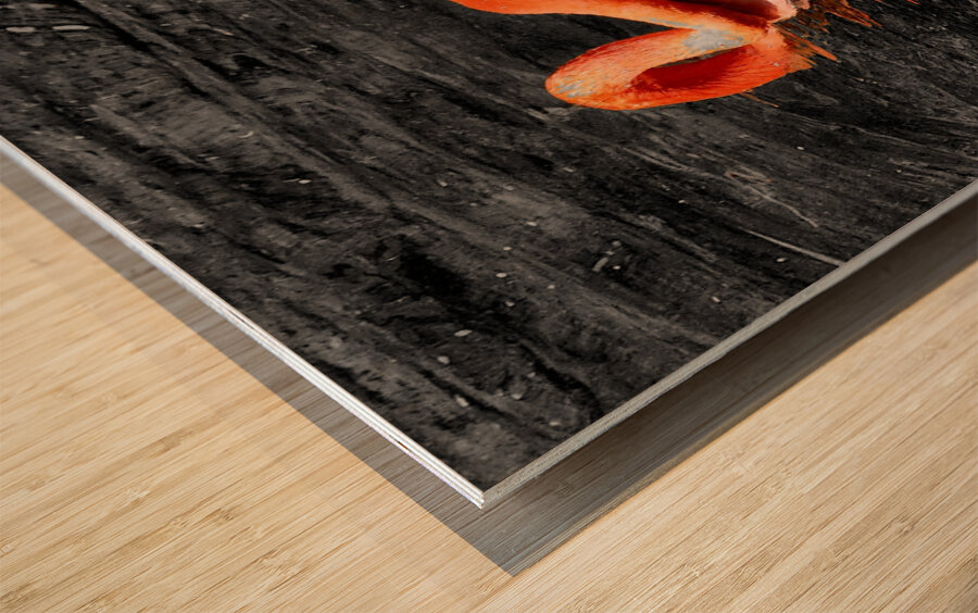 Flamingo Grooming Wood print