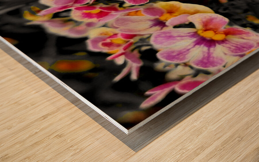 Orchids 1 Wood print