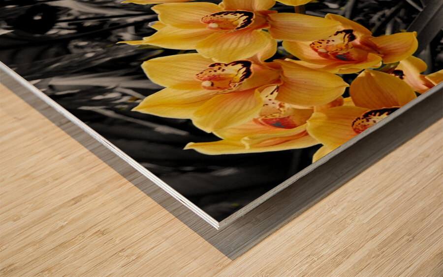 Orchids 3 Wood print