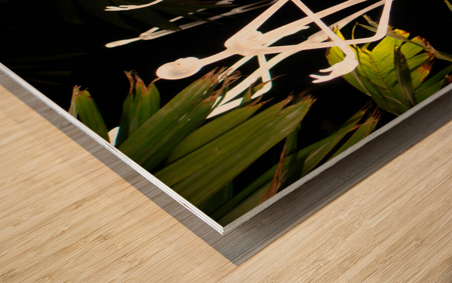 Ghostly Aliens Wood print