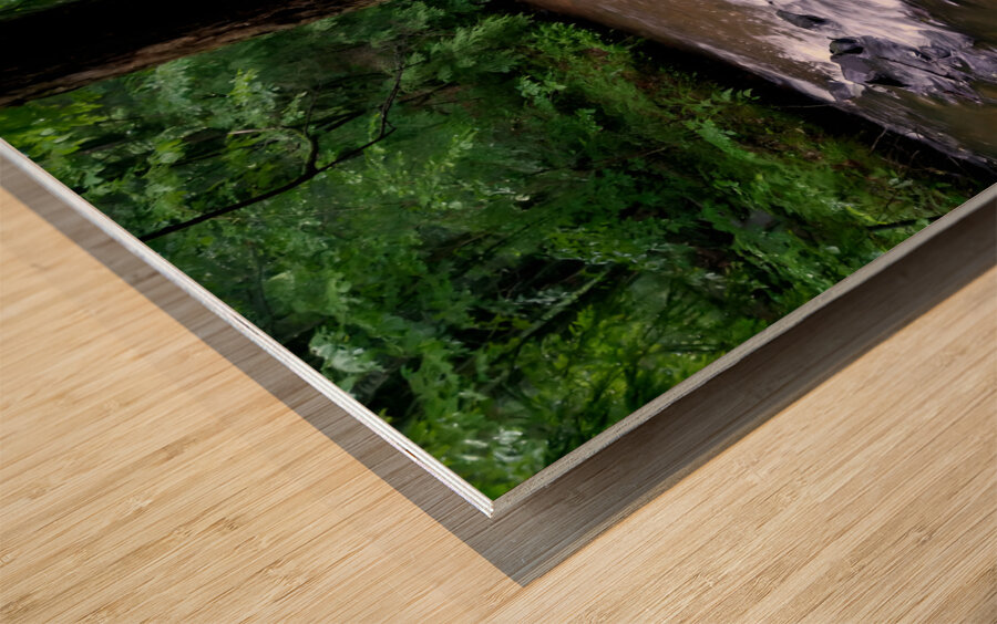 Minister Creek Riffle 1 Wood print