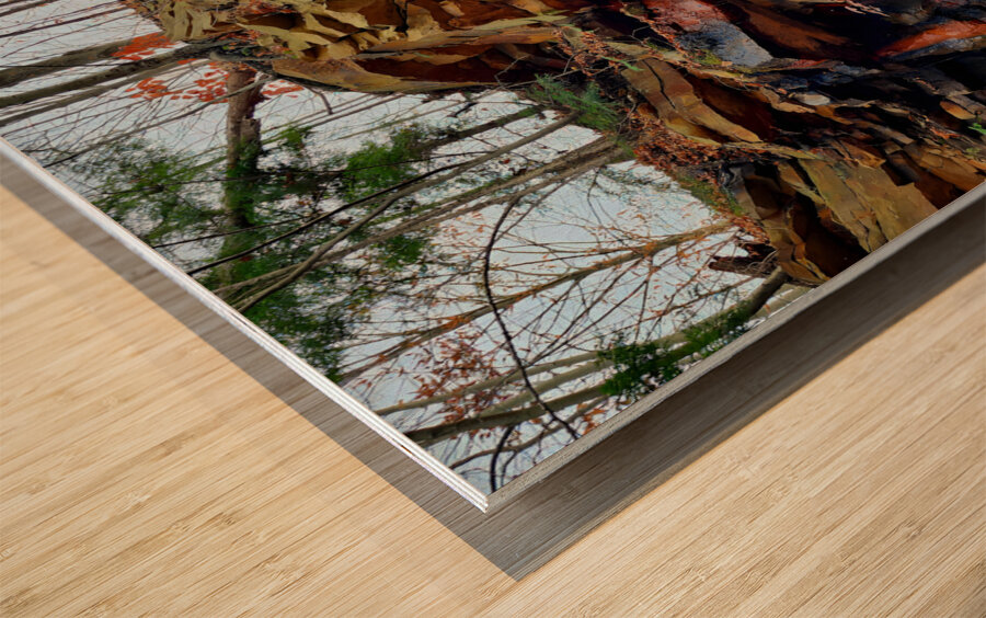 Iron Oxide Melt Wood print