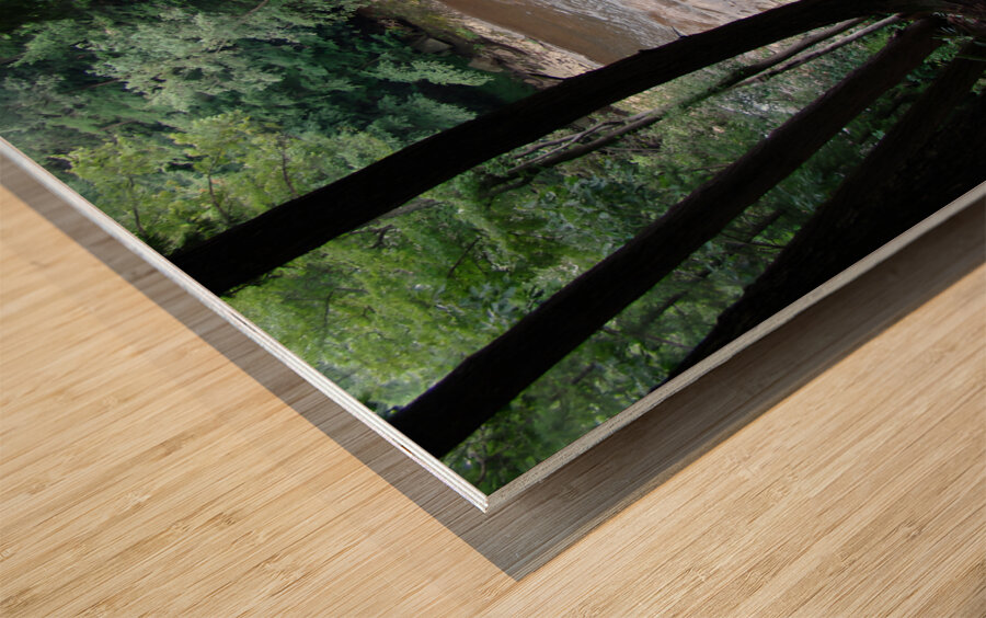 Stonycreek River Headwaters Wood print