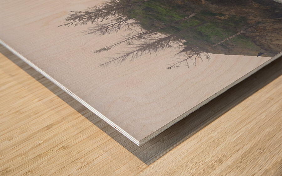 Pacific Coast Mist Wood print