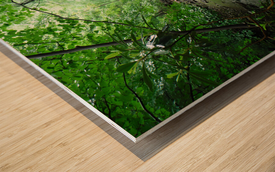 Roaring Run Wood print