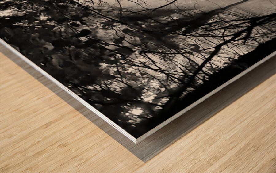 Morning Sunlight Wood print