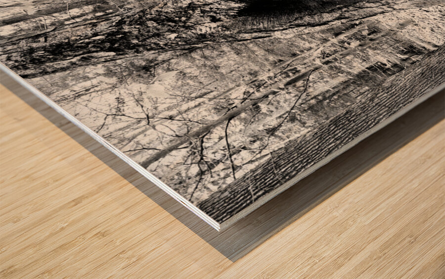 Natural A Wood print