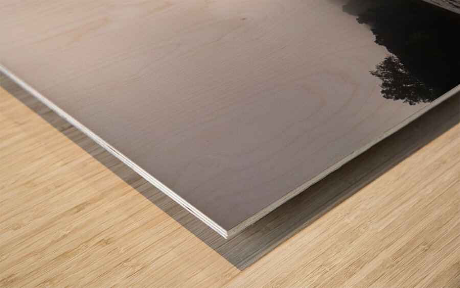 Allegheny Float Trip Wood print