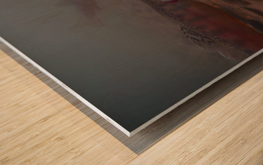 Shade Brook Trout Fave 1 Wood print