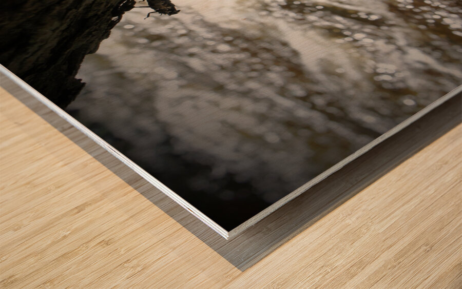 Stonefly Shucks Wood print